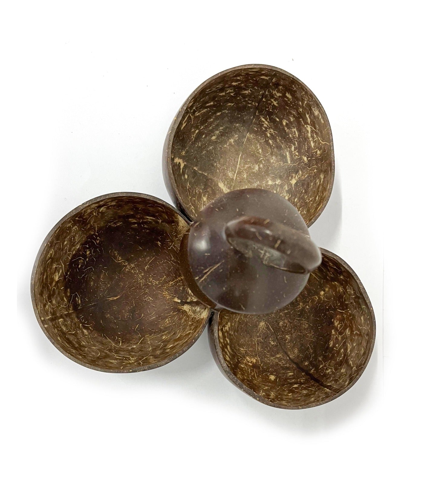 Artisanal Coconut Serving Bowl Trio